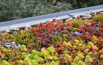 the cost of Calne green roof installation