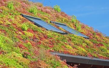Calne living roof systems