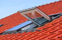 Calne roof window